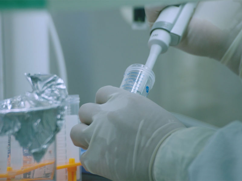 Humoralinis ir ląstelinis Mrna Rsv vakcinos imunitetas buvo žymiai didesnis nei tarptautiniu mastu parduodamų produktų, taikomų klinikiniam tyrimui JAV.